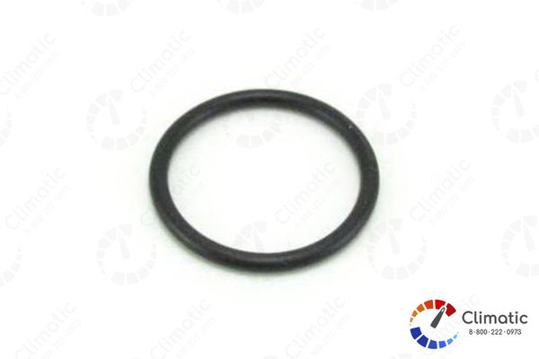 10-33-3098 Thermo King О-ринг корпуса термостата, Yanmar 482 / 486 / 486V